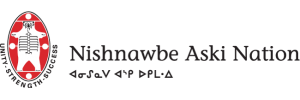 NAN Logo